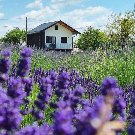 Vacation Home - Nest Kalnik 외부 사진