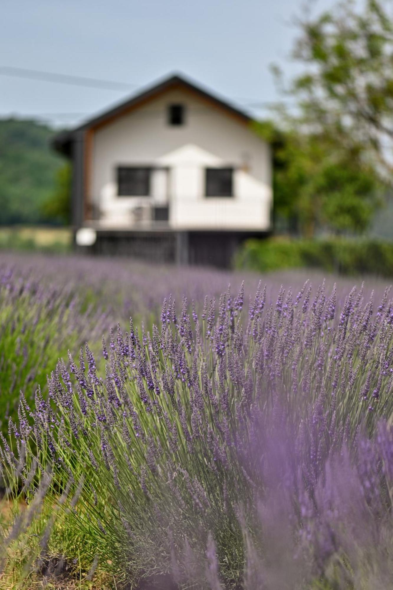 Vacation Home - Nest Kalnik 외부 사진
